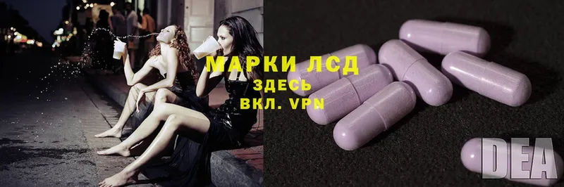 где купить наркоту  Покачи  Лсд 25 экстази ecstasy 